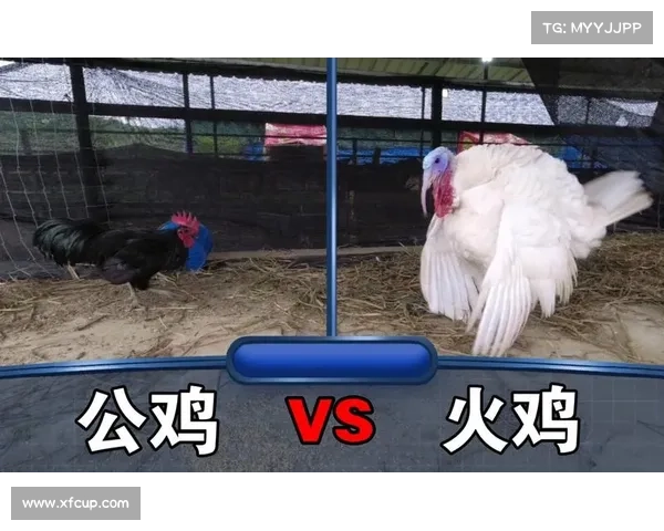 火鸡活动攻略,火鸡道具:火鸡活动秘籍:玩转盛宴,一网打尽珍稀好礼 火鸡活动攻略,火鸡道具:火鸡活动秘籍:玩转盛宴,一网打尽珍稀好礼